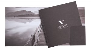 Velvet Wealth Management literature